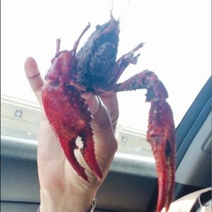 Meet your Posher, Pam